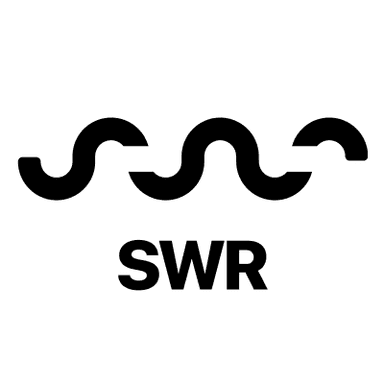 Logo del curso React swr